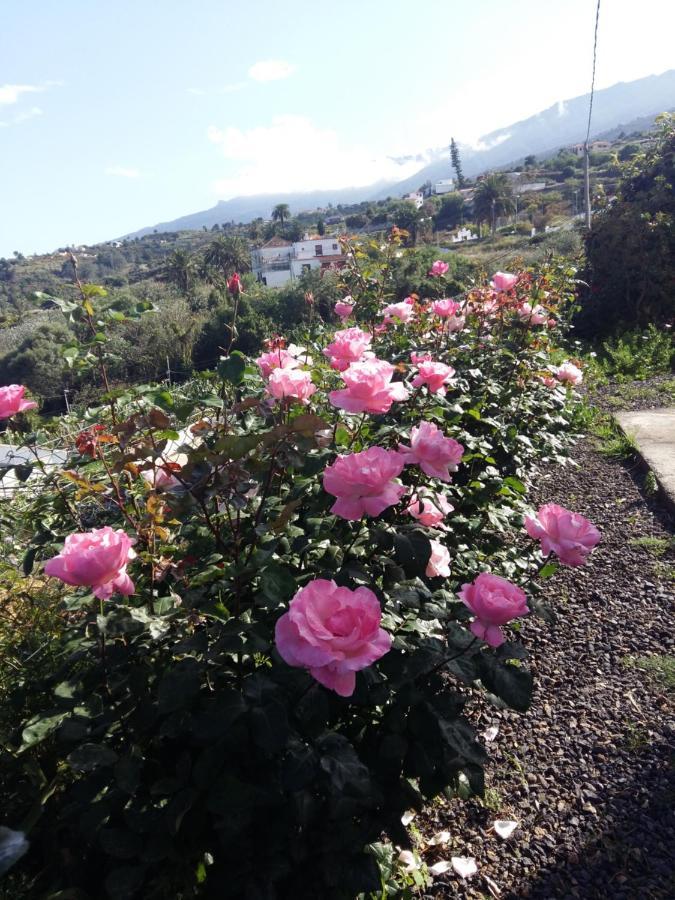Vivienda Vacacional La Graja Santa Cruz de la Palma  Esterno foto